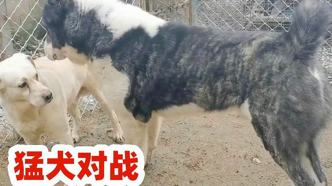 洗车服务 第6页