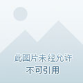 汽车及汽车配件 第402页