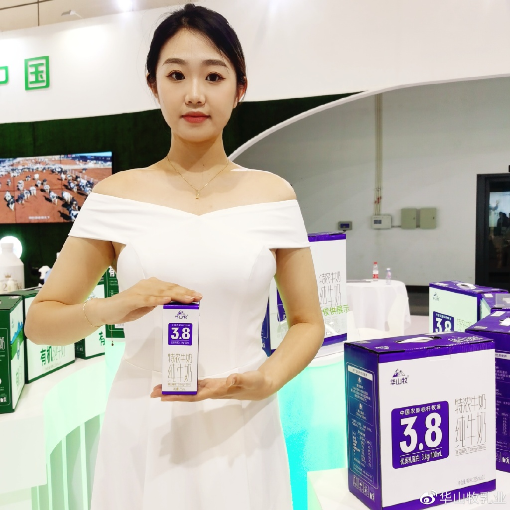 汽车饰品的销售 第227页