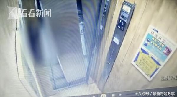 汽车饰品的销售 第224页