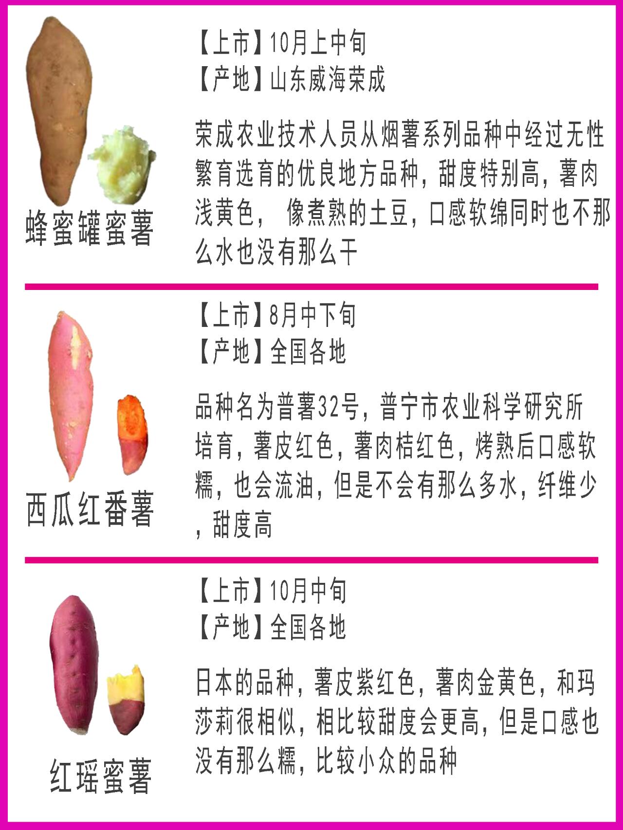 最新地瓜品种，小巷深处的诱人美味