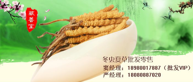 虫最新行情，小巷中的隐秘宝藏探索之旅